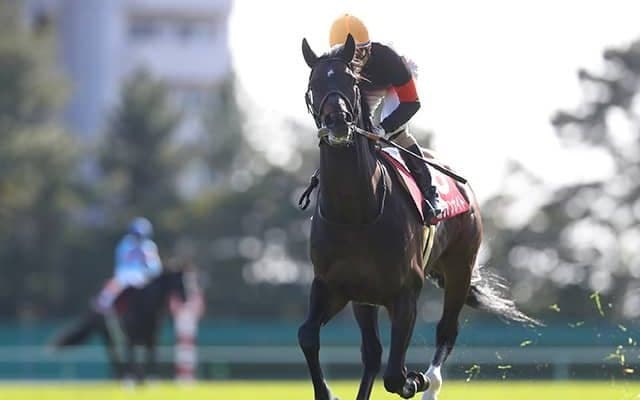 【大阪杯予想】コントレイルでもグランアレグリアでもないAIの本命候補が番狂わせを演出する/JRA重賞レース展望