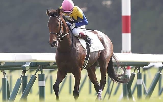 【大阪杯】「勝ったら◯◯」グランアレグリア、レイパパレ、ワグネリアンらが“史上初”目指す