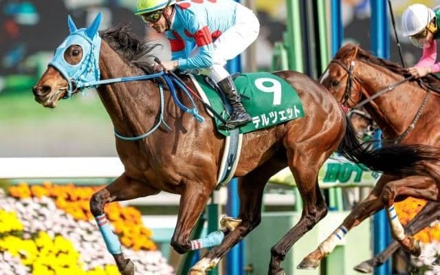 【ダービー卿CT結果】テルツェットが4連勝で重賞初制覇！