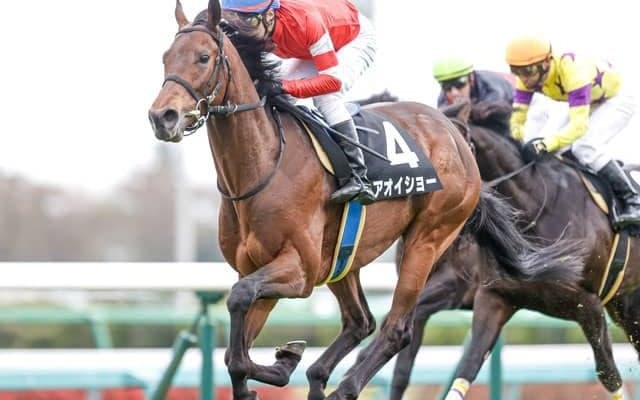 【山吹賞結果】アオイショーが突き抜け快勝