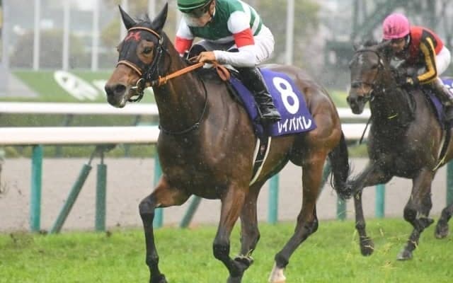 【大阪杯結果】レイパパレが豪華メンバー完封！ 無傷6連勝でGI初制覇！
