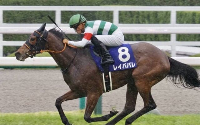 【大阪杯】レイパパレが無傷の6連勝！G1初制覇！コントレイルは敗れる