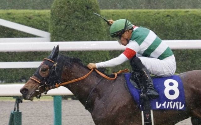 【大阪杯】川田「凄いことをした」レイパパレが無傷の6連勝