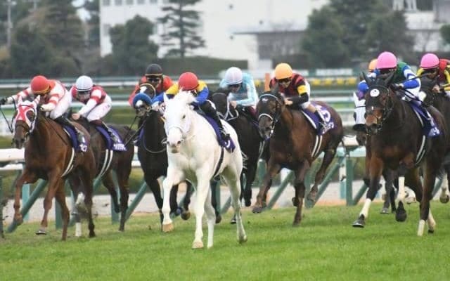 牝馬クラシック第一弾・桜花賞に注目/今週の競馬界の見どころ