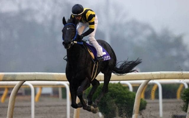 【水沢・スプリングカップ】リュウノシンゲンが２着馬に９馬身差を付ける圧勝！