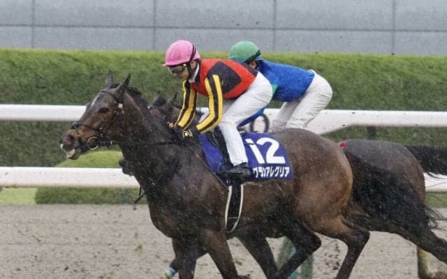 【大阪杯】ルメール「良馬場なら」レース後ジョッキーコメント