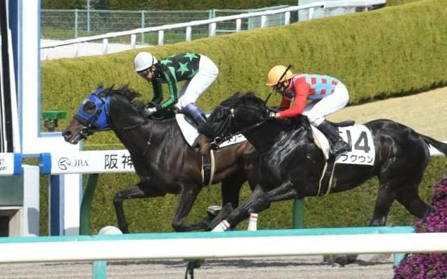 【ニュージーランドT展望】混戦のNHKマイルCトライアル、あの穴馬に期待