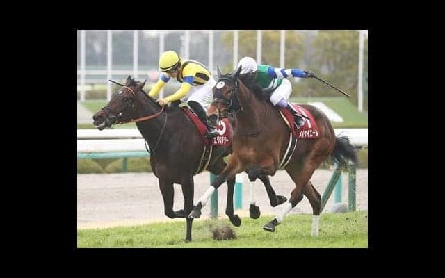 ２強を脅かす馬はいるか？　桜花賞の行方が見える「３歳牝馬ランキング」