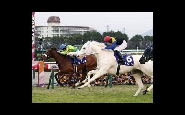 安藤勝己の「３歳牝馬番付」。激戦のクラシックは「２強」で絶対か？