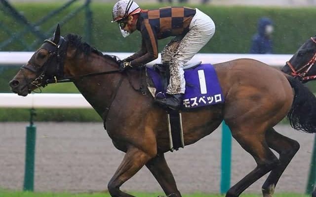 【次走】大阪杯2着モズベッロは宝塚記念へ、引き続き池添謙一騎手とコンビ
