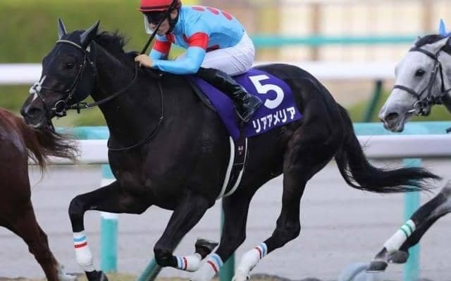 【阪神牝馬S展望】近年は巻き返しも多いヴィクトリアMの前哨戦