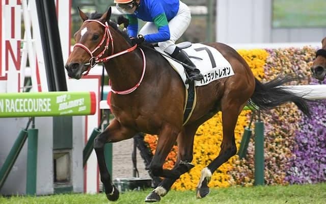 【ニュージーランドＴ予想オッズ】バスラットレオンが予想1番人気