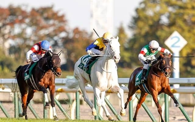 【桜花賞予想オッズ】ソダシが予想1番人気