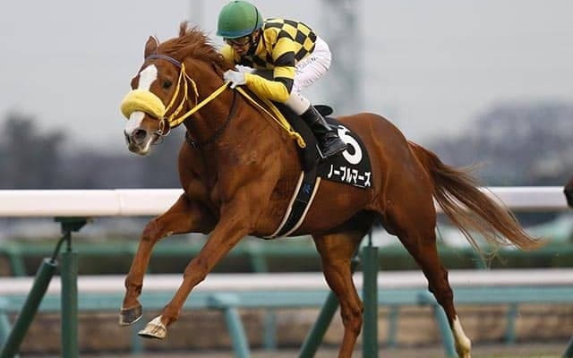 【先週のJRA抹消馬】18年宝塚記念3着馬ノーブルマーズなど