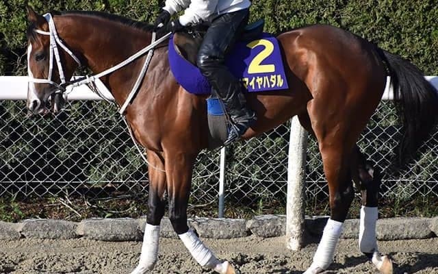 【皐月賞】アドマイヤハダルの鞍上はC.ルメール騎手に、オーソクレースの回避で