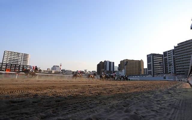 【地方競馬】川崎競馬が開催中のパドック解説付インターネット中継を開始 