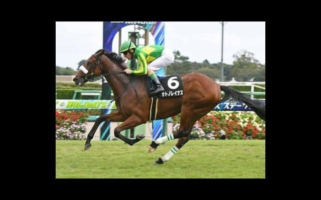 桜花賞はソダシよりサトノレイナス。キャリアや血統面などデータが後押し