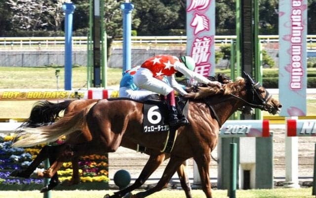 【ひめさゆり賞】ヴェローチェオロがゴール前の大接戦を制する