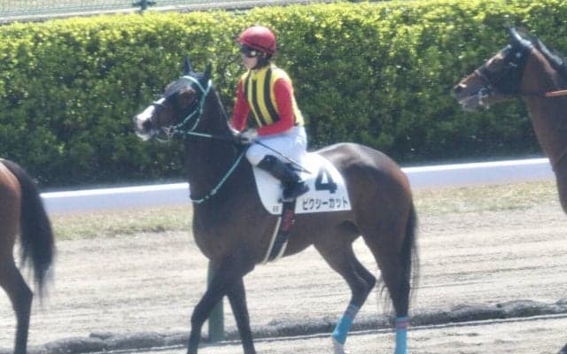 【新潟6R】菜七子 今年の4勝目！ピクシーカットで豪快な差し切りV