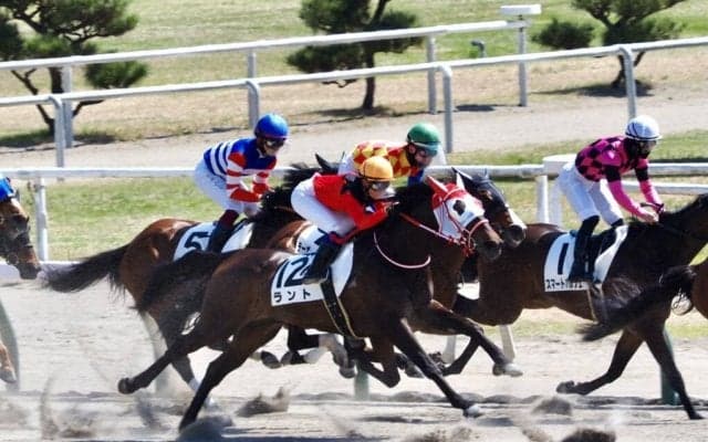 【新潟4R】女性騎手競演、2レース目は古川9着、菜七子11着、永島12着