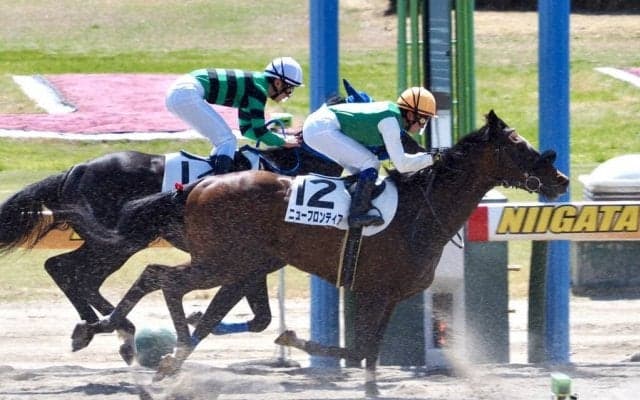 【新潟3R】女性騎手3人が初競演！最先着は古川奈穂騎手