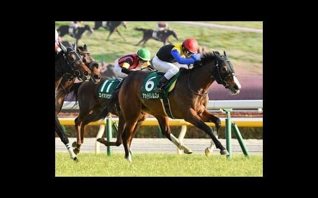 桜花賞のサイン馬券。奇跡の復活を遂げた池江璃花子選手絡みが吉を呼ぶ