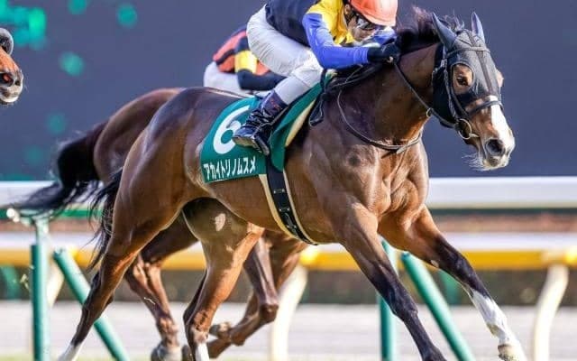 【本日の注目ポイント】牝馬クラシック第一弾・桜花賞