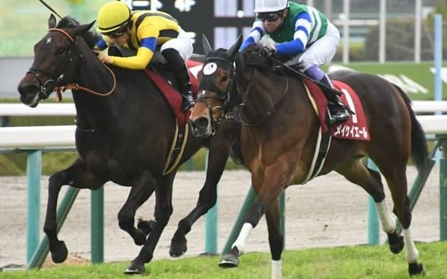 【桜花賞予想】狙いたい中穴で消去条件に該当したのは、チューリップ賞で好走したこの馬/JRAレース展望