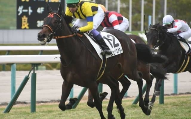 【桜花賞】エリザベスタワー高野師「牝馬らしからぬ馬格がある」/ねぇさんのトレセン密着