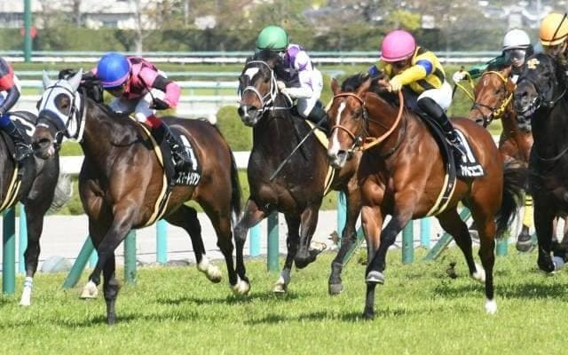 【万哲の馬場予報】瞬発力のある馬が優位になりそう/桜花賞