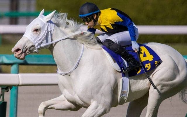 【桜花賞】白毛馬が史上初クラシック制覇！ソダシが無傷の5連勝