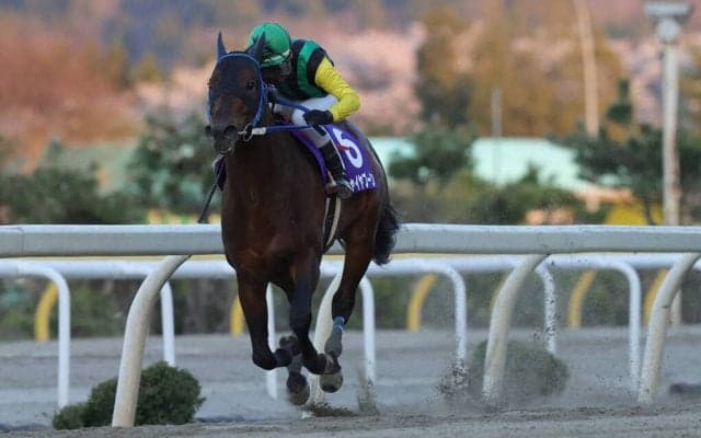 【水沢・赤松杯】チャイヤプーンが快勝！