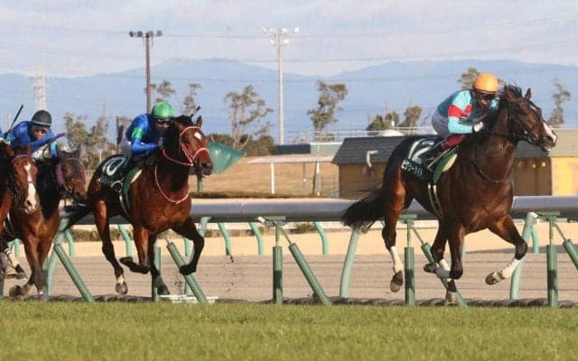 【アーリントンC登録馬】ピクシーナイトなど19頭が登録