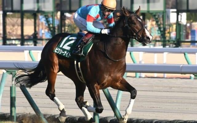【アーリントンC見どころ】ピクシーナイトが重賞2連勝を狙う