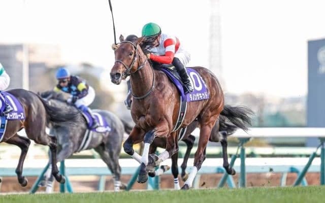 GI皐月賞とJ・GI中山グランドジャンプに注目/今週の競馬界の見どころ