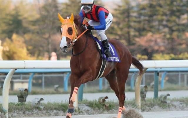 【金沢・JBCイヤー記念結果】ハクサンアマゾネスが断然人気に応え4馬身差V