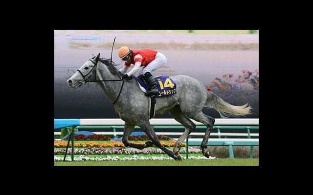 「ウマ娘」再注目のゴールドシップ。語り継がれる唯一無二の走り