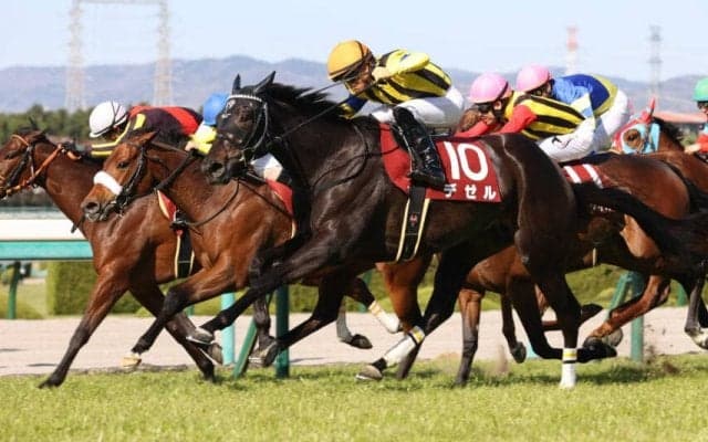 【阪神牝馬S】デゼルの大外一気が炸裂！重賞初制覇
