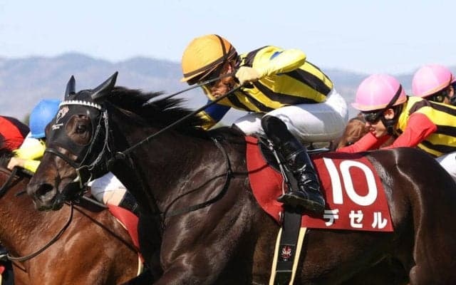 【阪神牝馬S】川田「独特な走り方」デゼルが重賞初制覇