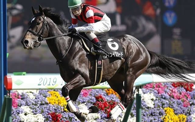 【福島民報杯ハンデ確定】ウインイクシードは56.0kg、アドマイヤジャスタは56.0kg