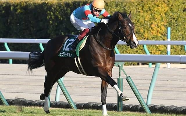 【アーリントンC出走馬決定順】フルゲート18頭に19頭の登録