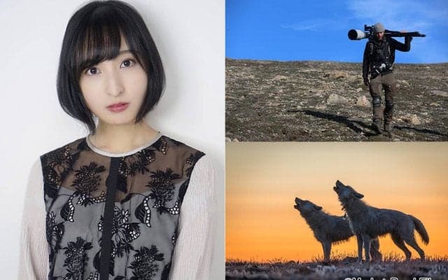 佐倉綾音がナビゲート！極寒の地で生きるオオカミたちの生態に迫る