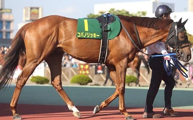 ホッカイドウ競馬が開幕！ “日本一早い新馬戦”に新種牡馬産駒たちが登場/斎藤修