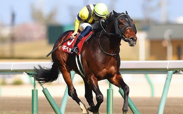 【次走】金鯱賞で最低人気Vのギベオン　引き続き西村淳也騎手でマイラーズCへ