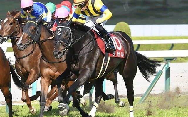 【次走】デゼル、マジックキャッスルは春の女王決定戦、ヴィクトリアマイルを目指す