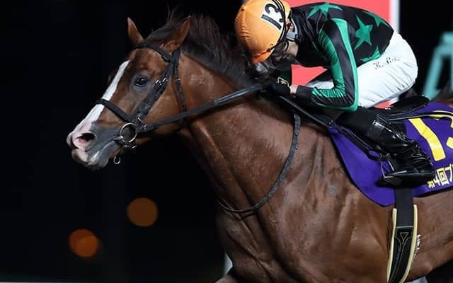 【大井・ブリリアントC】重賞初制覇のフィアットルクス　本橋孝太騎手「自信を持って挑むことができた」