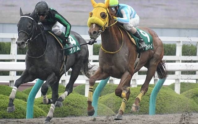 【アンタレスS予想オッズ】アナザートゥルースが想定では1番人気に！