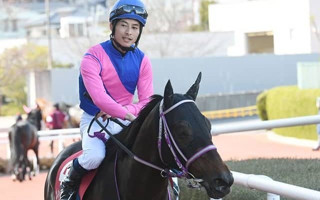 【中山グランドJ予想オッズ】オジュウチョウサンとメイショウダッサイが1.7倍で1番人気に！