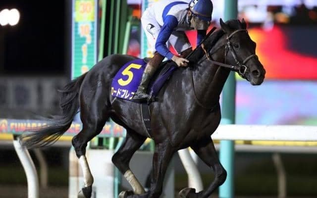 【アンタレスS展望】スタミナが問われる一戦、注目はあの馬