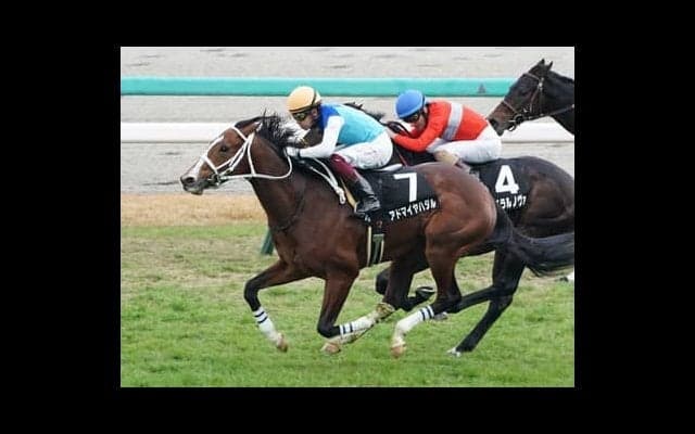 皐月賞・中山／芝2000ｍを制する血統は？　有力馬２頭の適正を分析